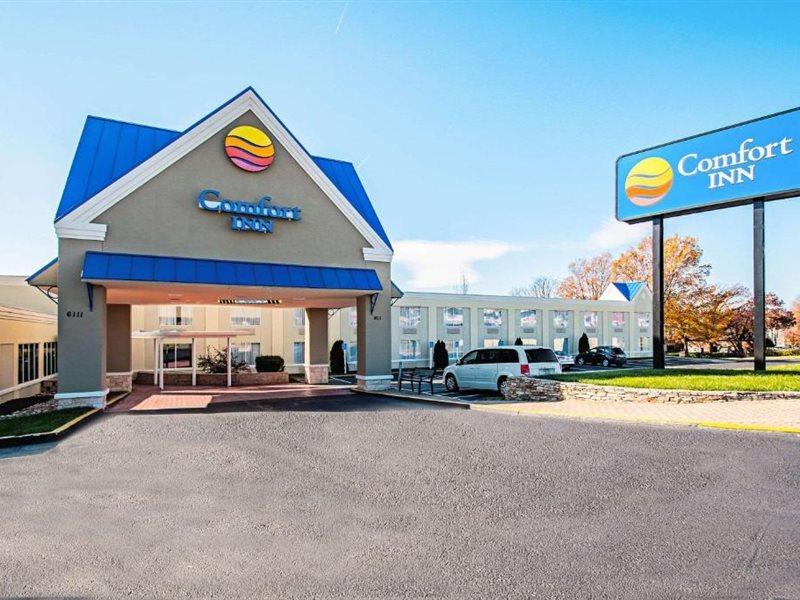 Comfort - Tysons Corner Falls Church