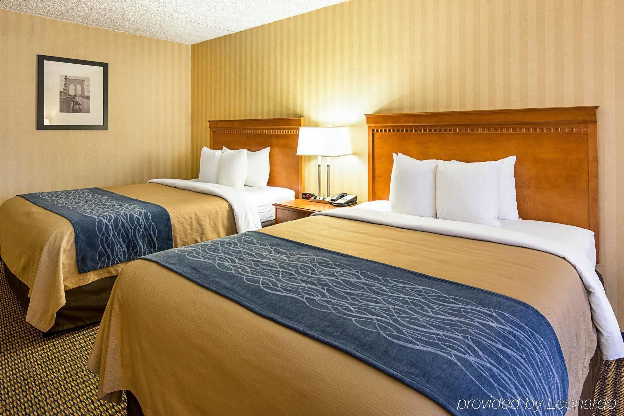 Comfort - Tysons Corner Hotel