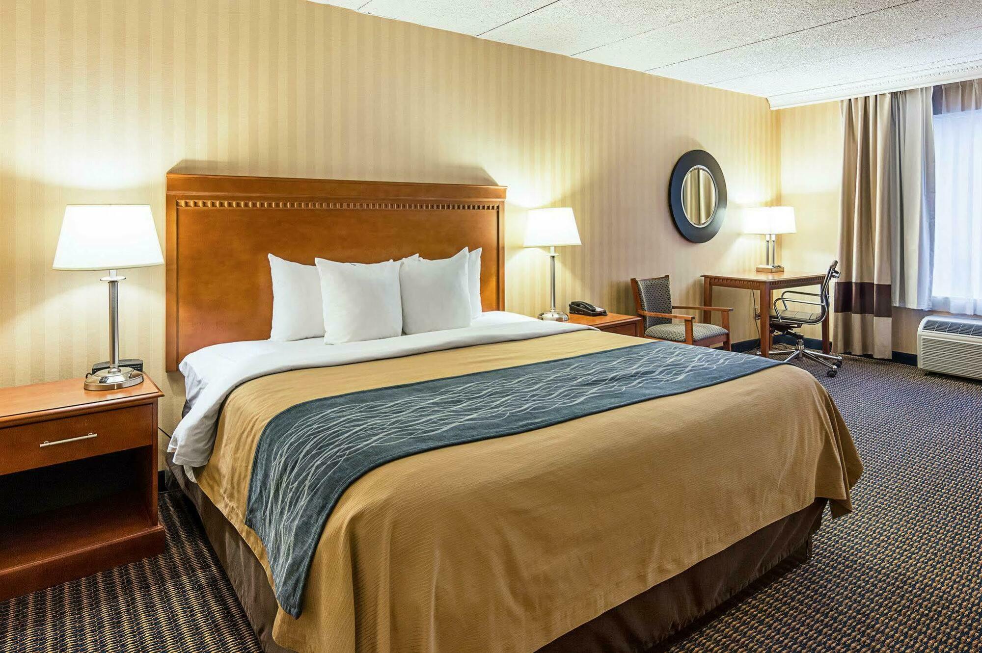 Comfort - Tysons Corner Falls Church
